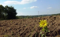 В Костроме семь крупных инвесторов могут получить земельные участки без аукциона